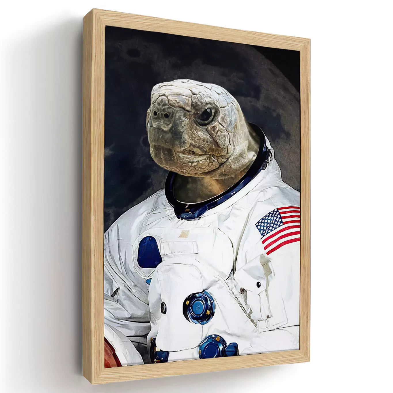 astronaut turtle portrait with a wood frame