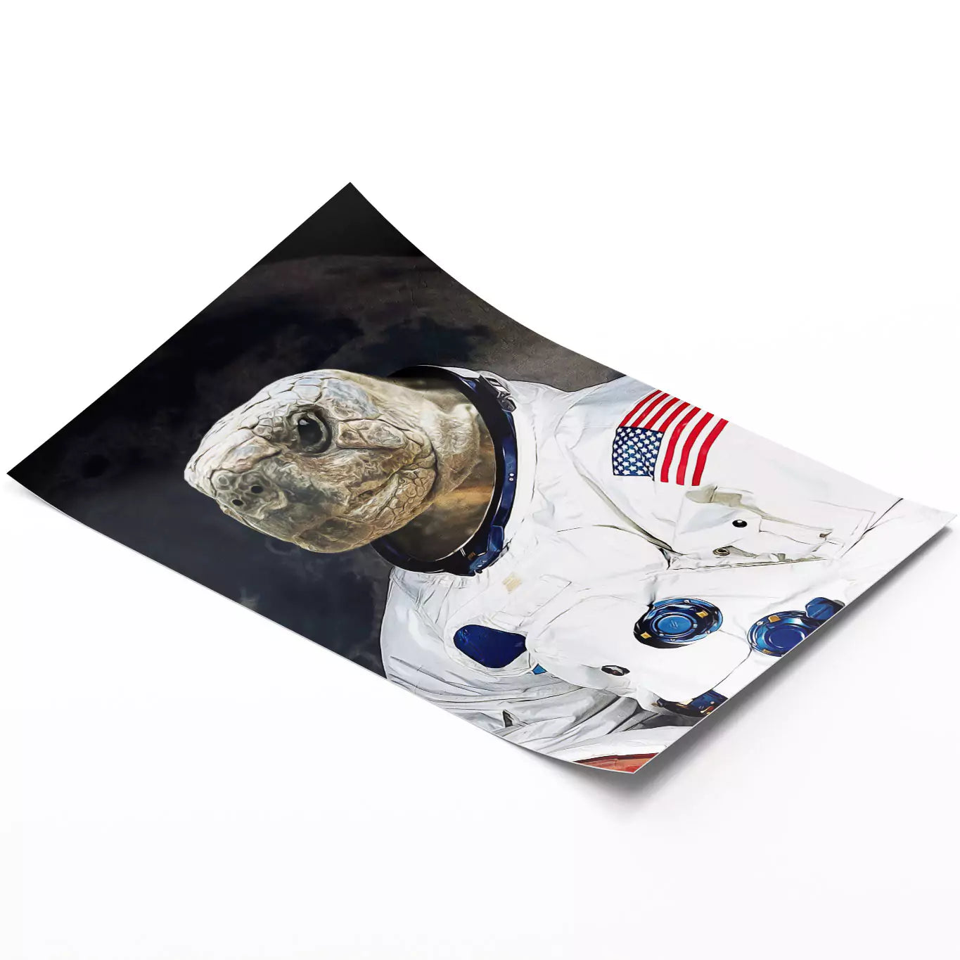 astronaut turtle portrait unframed