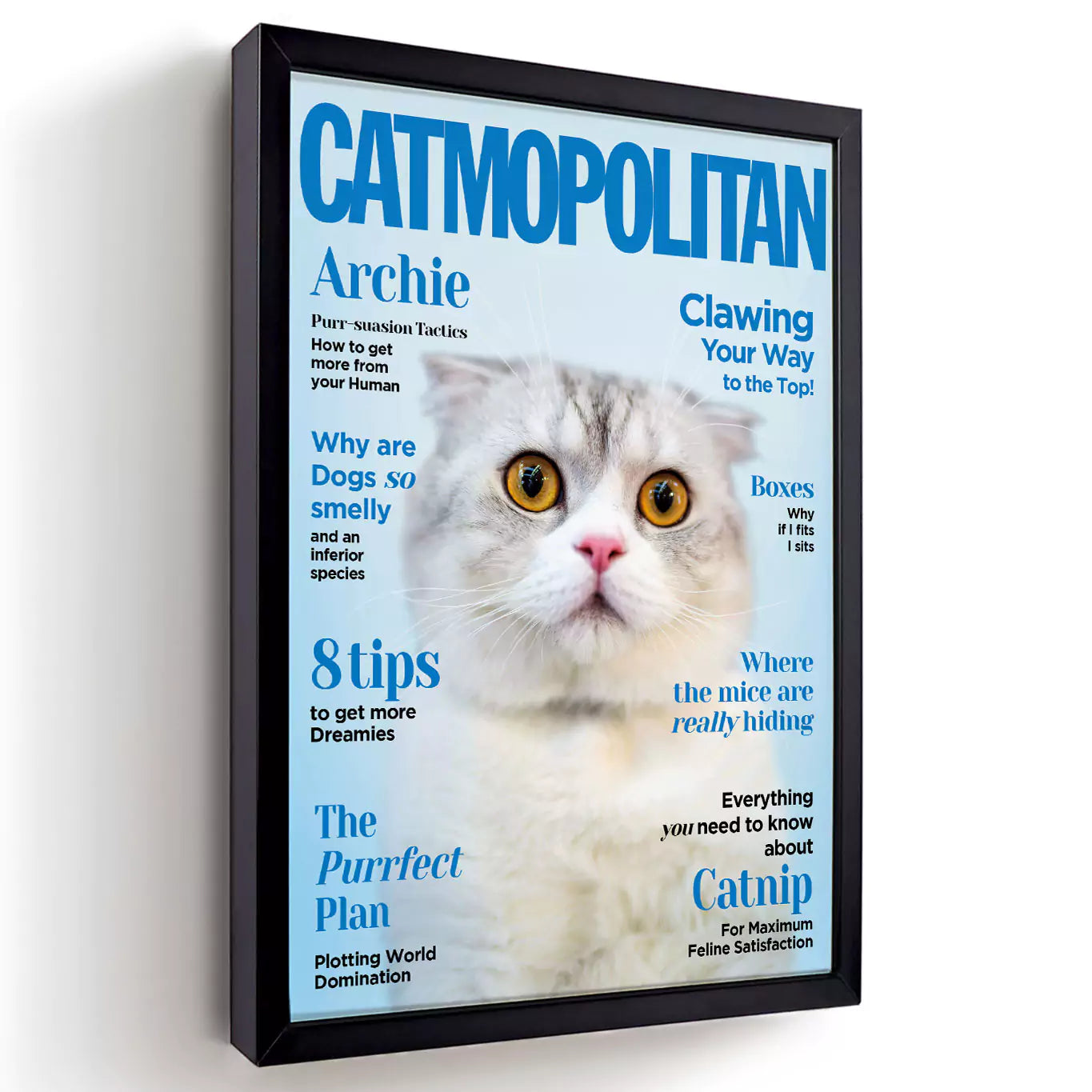 catmopolitan cat magazine in a black frame