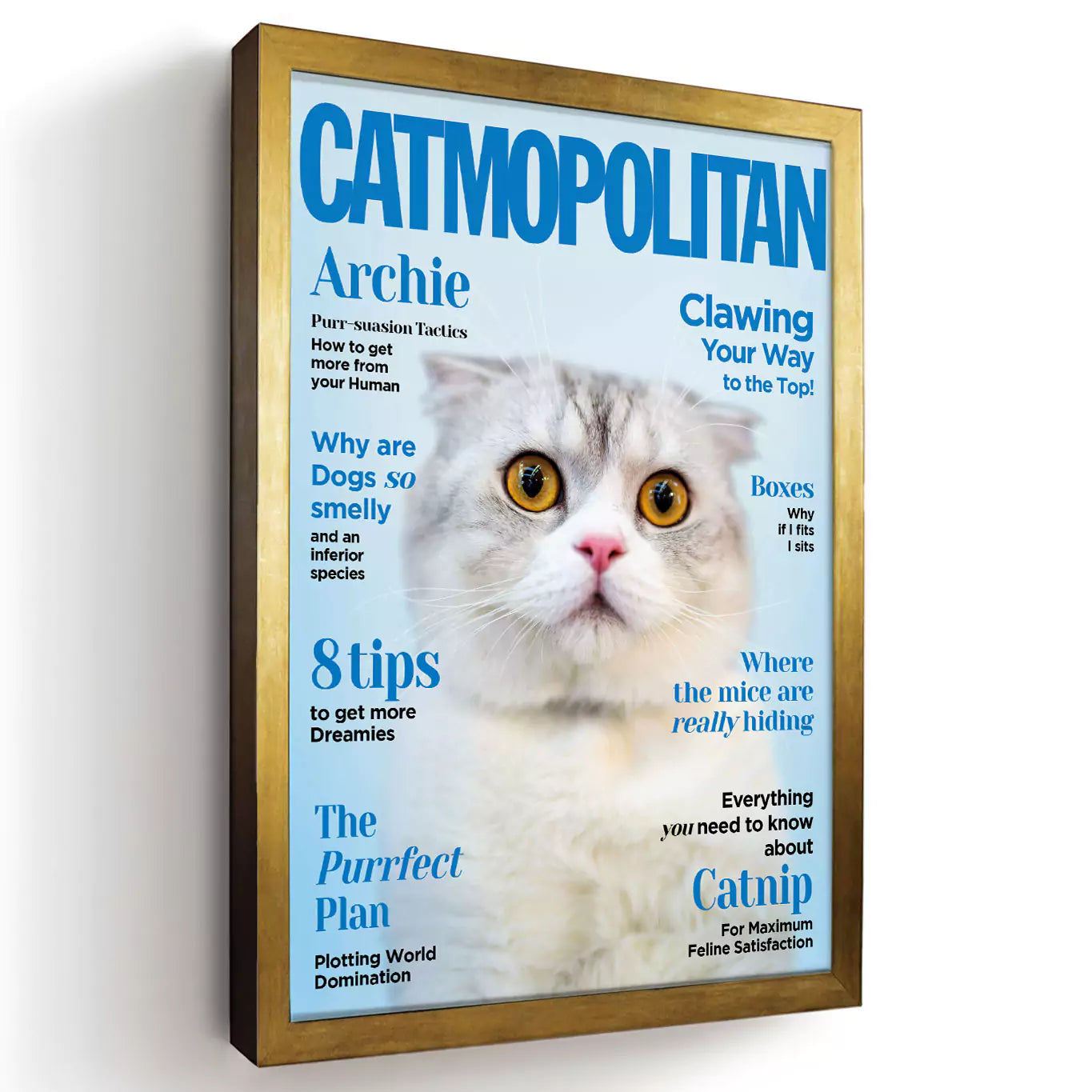 catmopolitan cat magazine in a gold frame