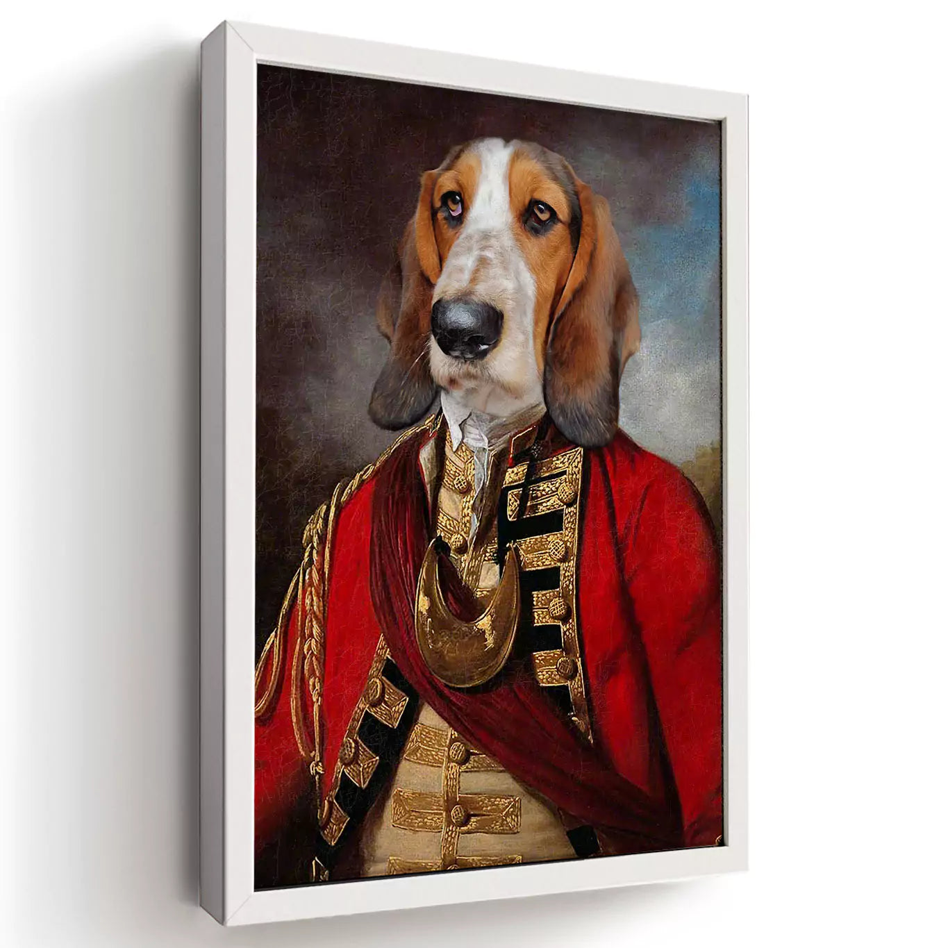 Colonel dog portrait with a white frame