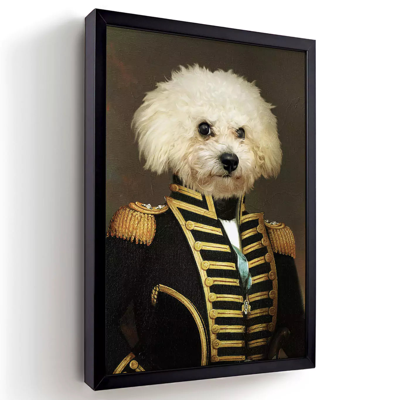 Commander white dog portrait in a black frame