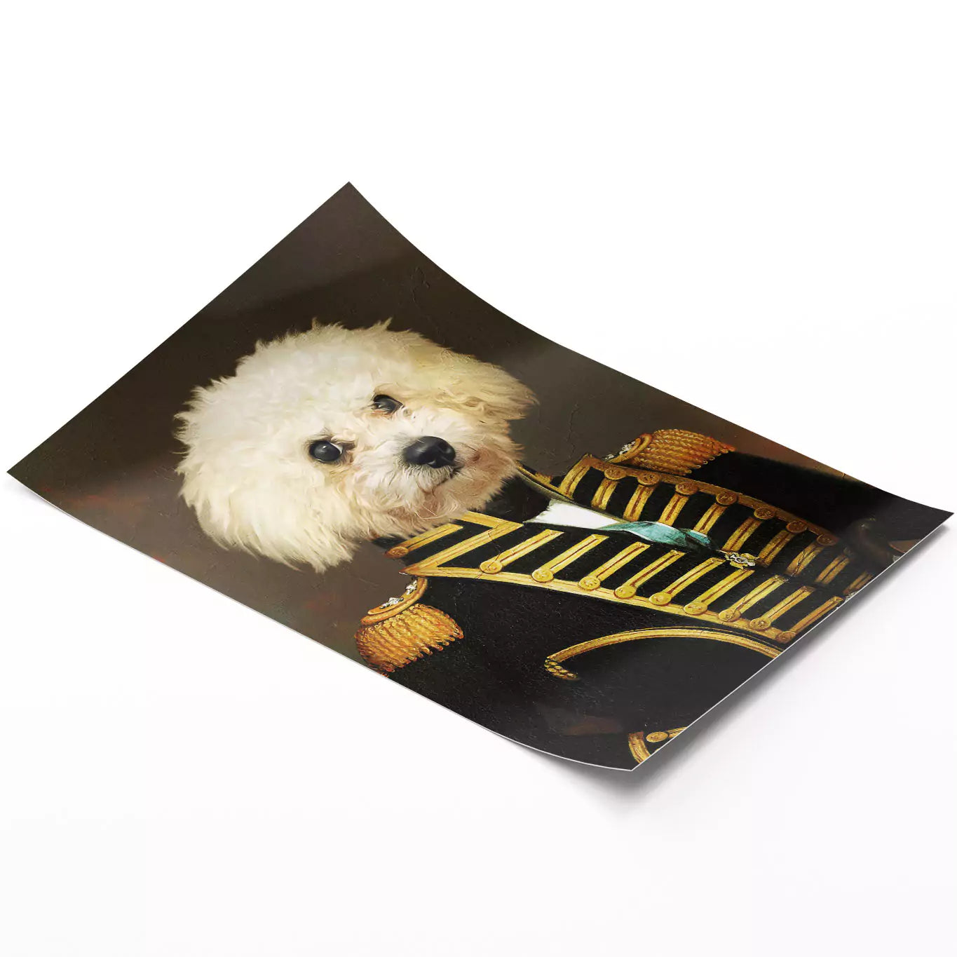 Commander white dog portrait unframed