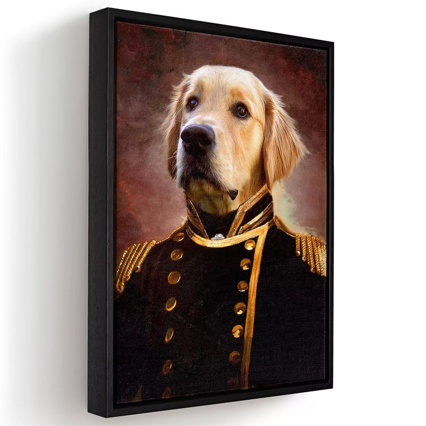 Commodore dog portrait canvas in a black frame