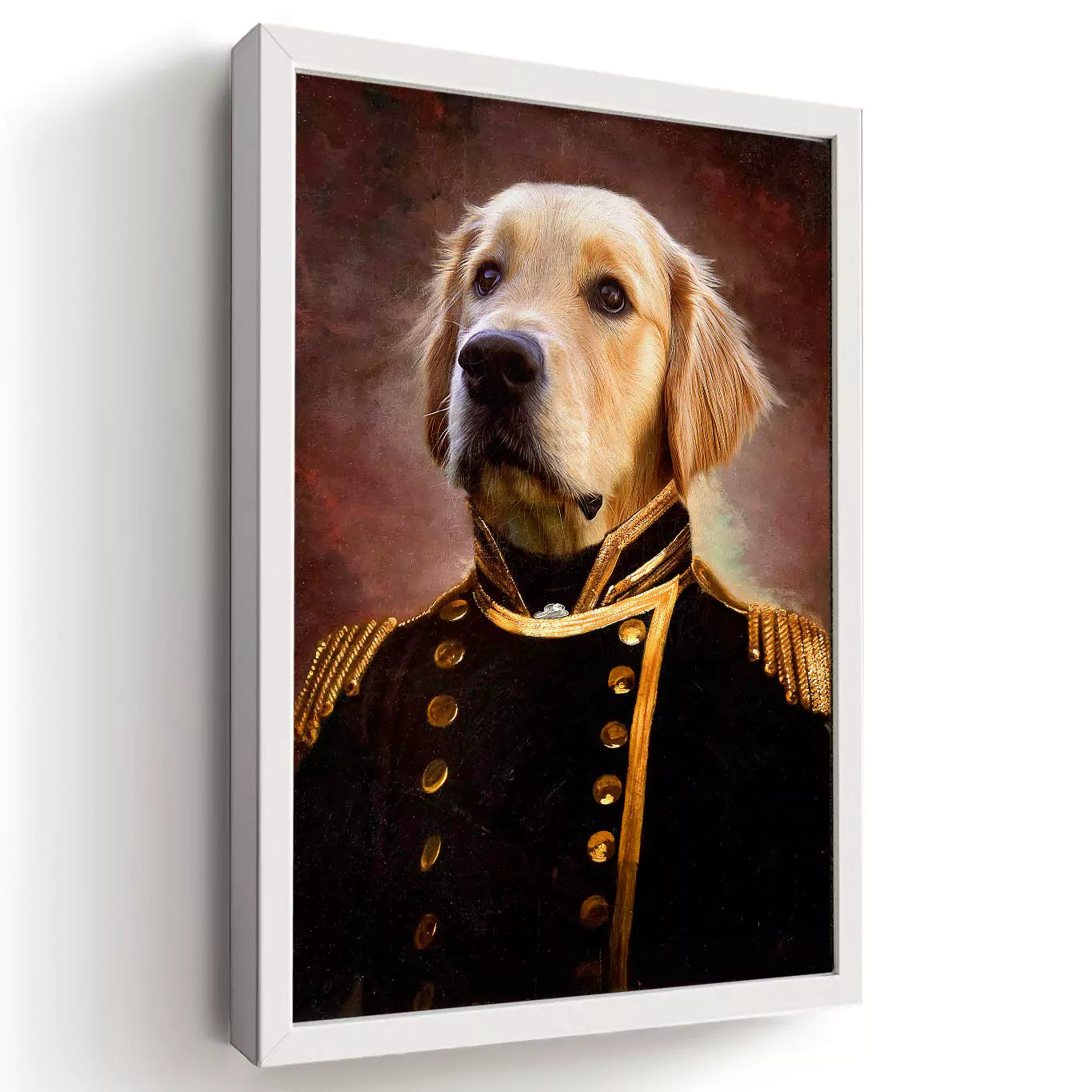 Commodore dog portrait in a white frame