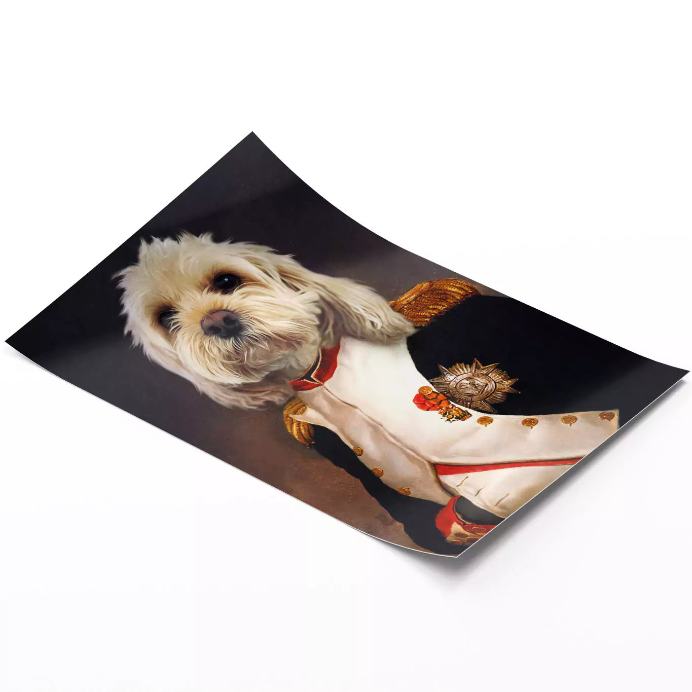 emperor dog portrait unframed