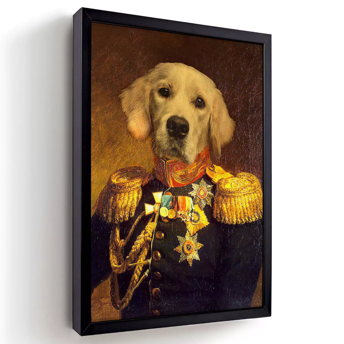 Dog general portrait in a black frame