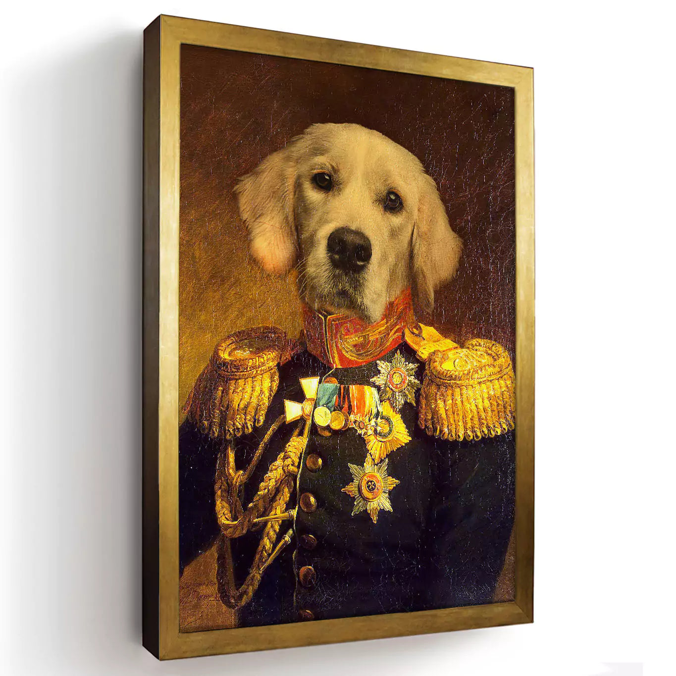 Dog general portrait in a gold frame