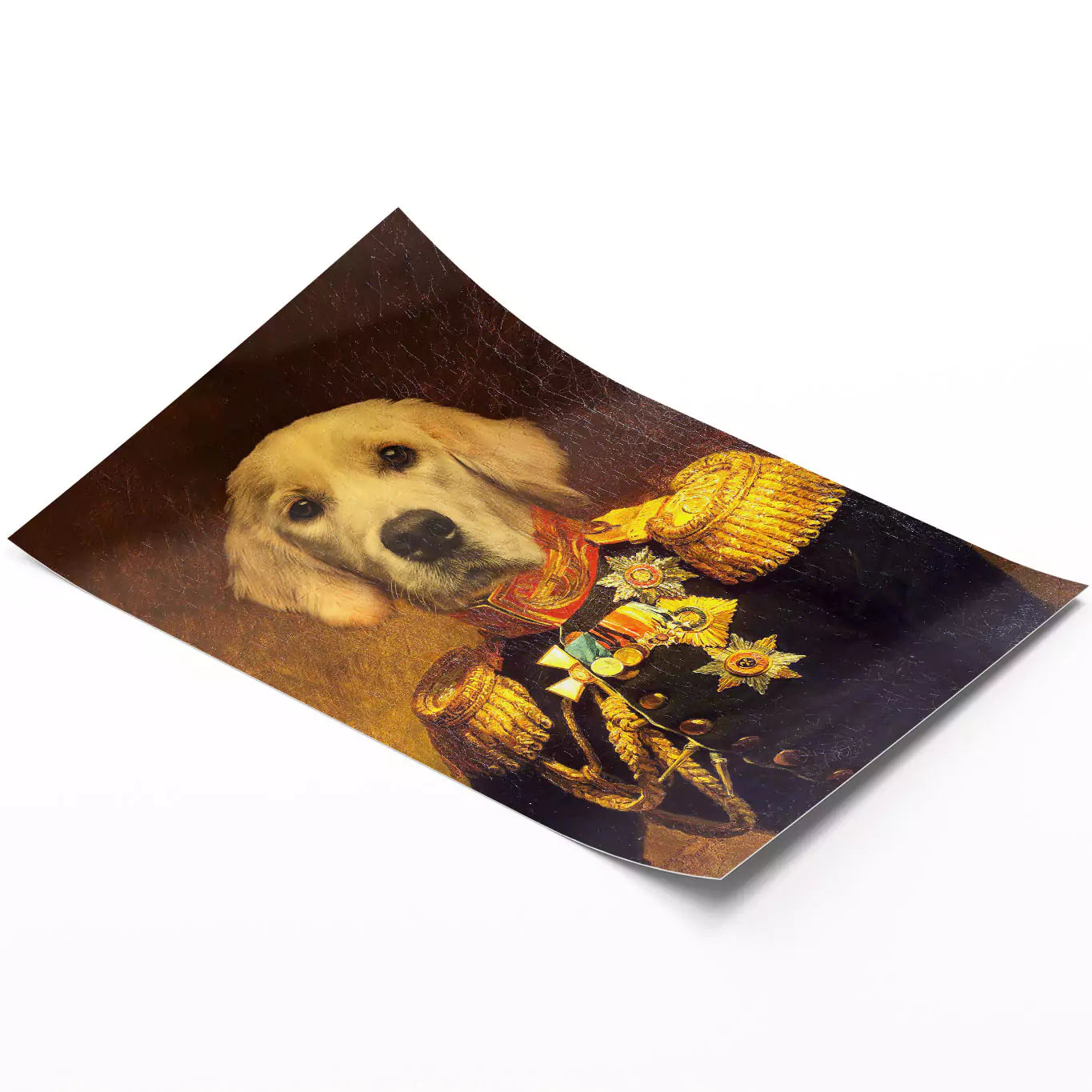 Dog general portrait unframed