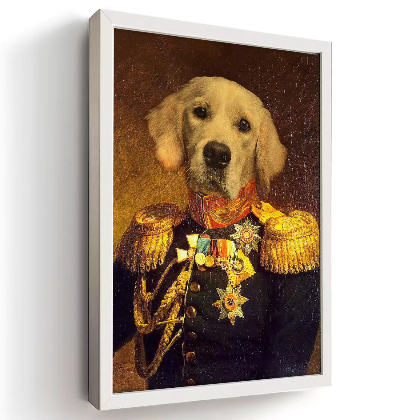 Dog general portrait in a white frame