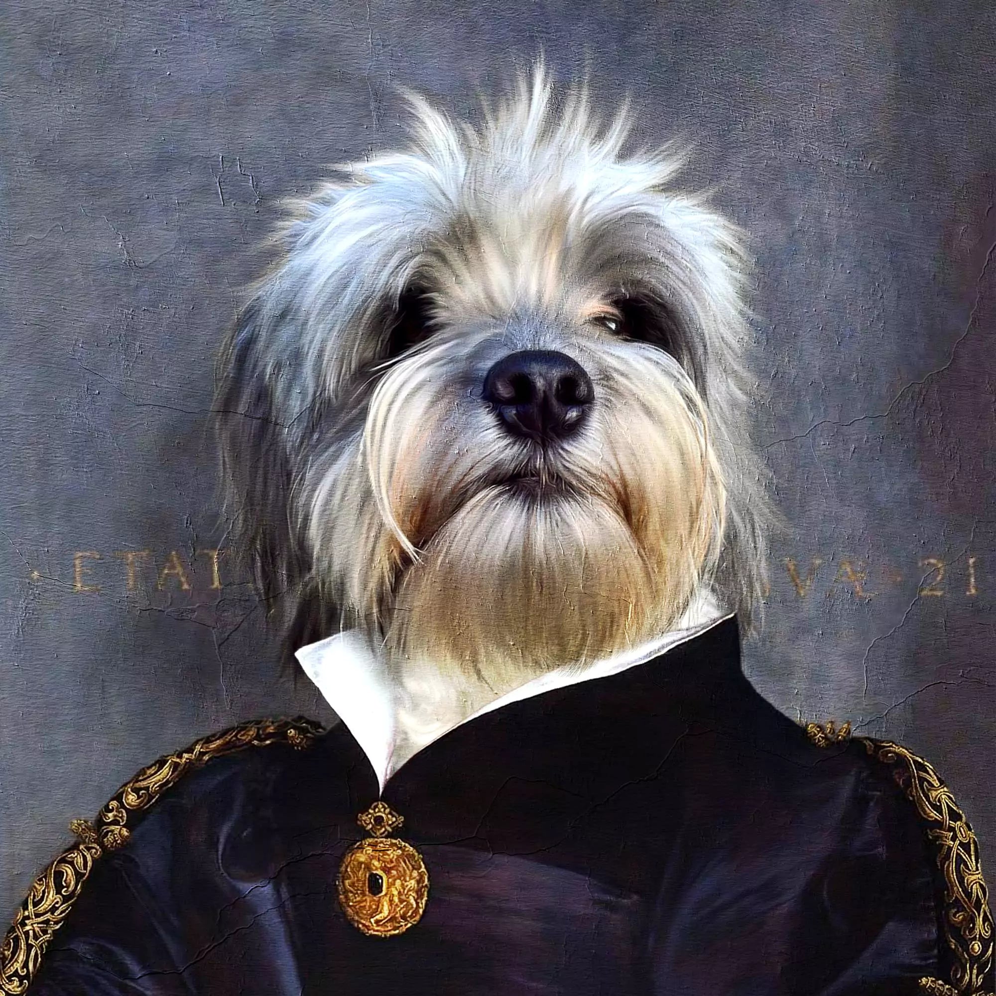 lola dog pet portrait - after image