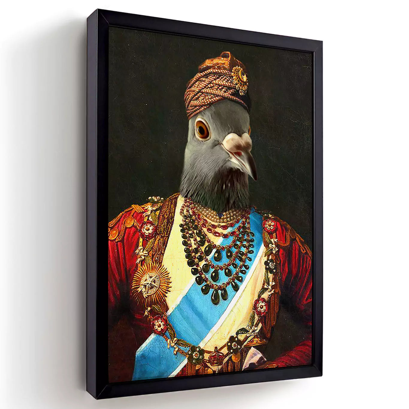 maharaja pigeon in a black frame