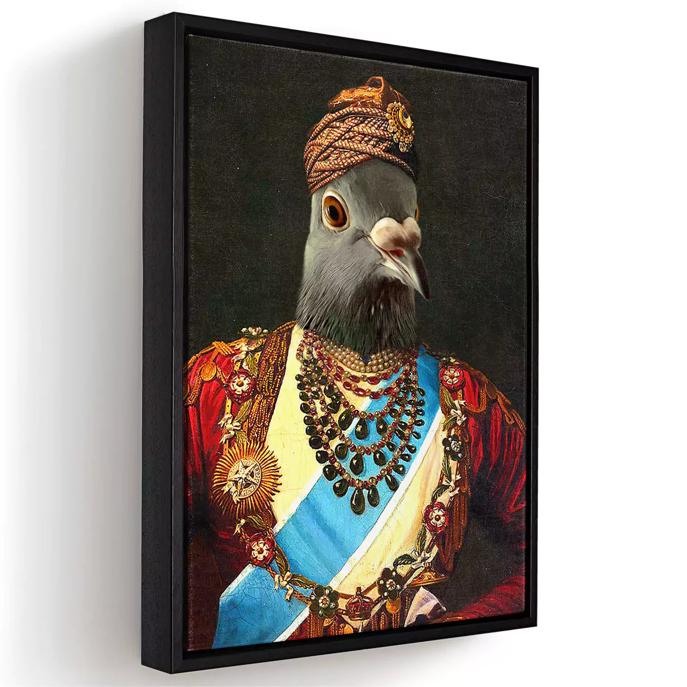 maharaja pigeon in a black frame