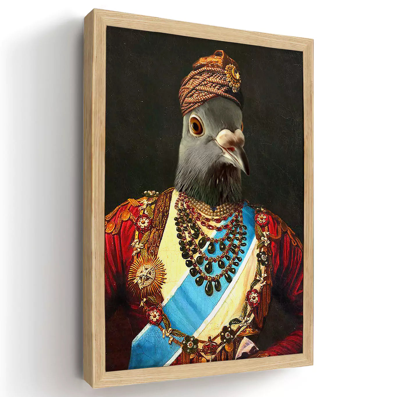 maharaja pigeon in a wood frame