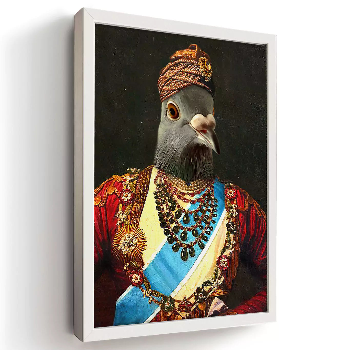 maharaja pigeon in a white frame