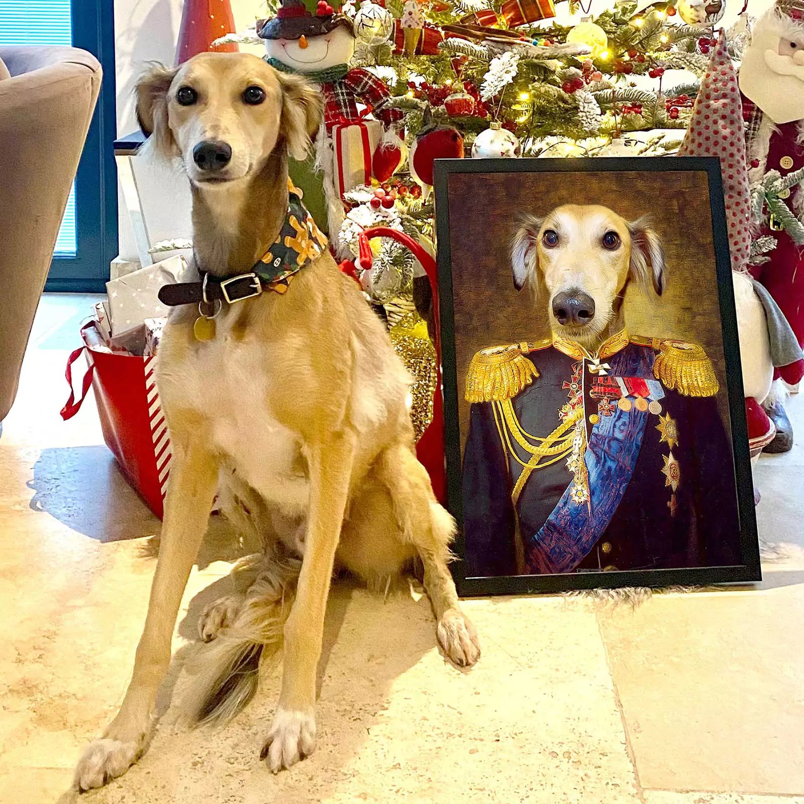 Admiral - Custom Vintage Pet Portrait - Lola & Pops