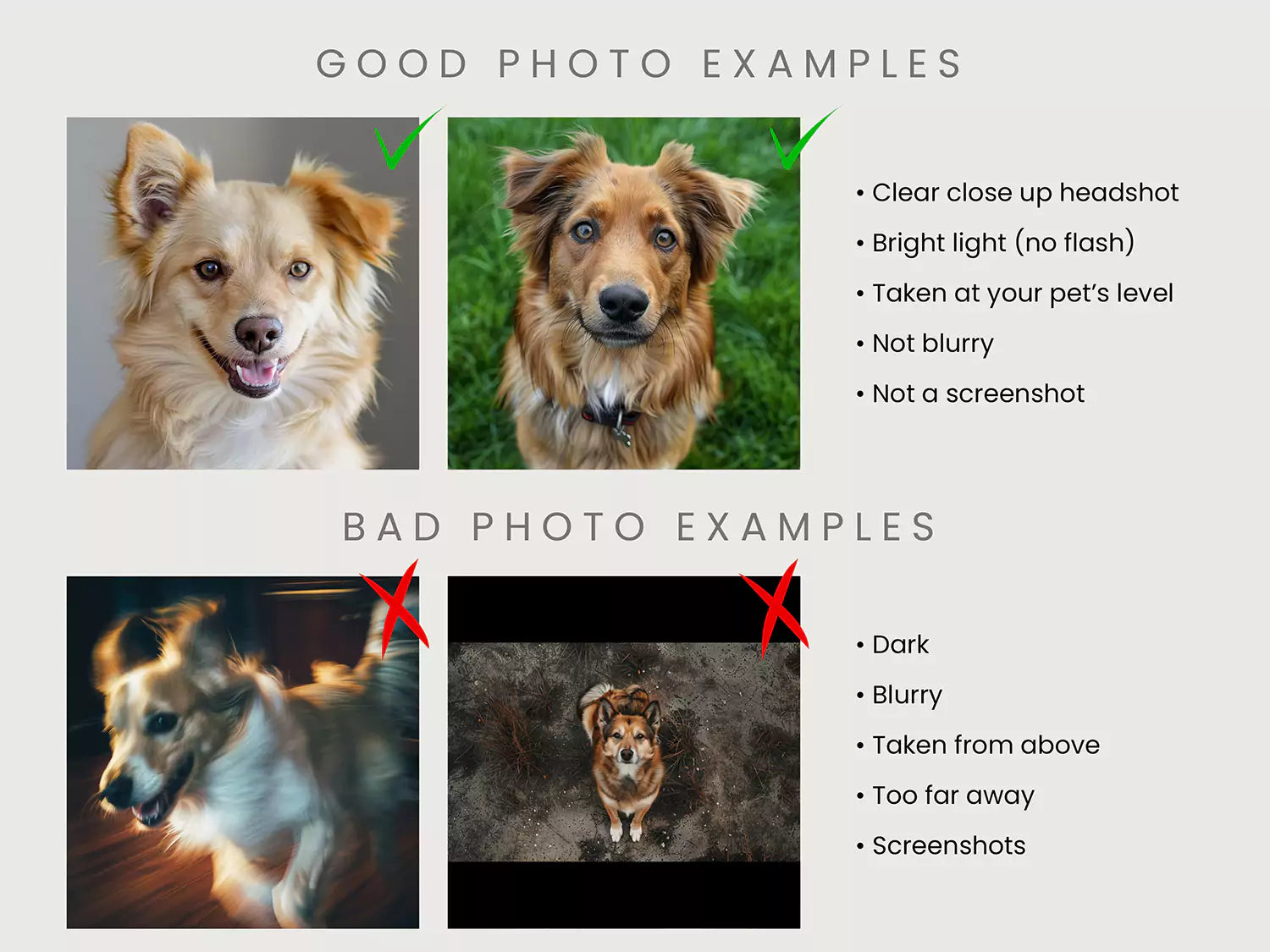 photo upload guide