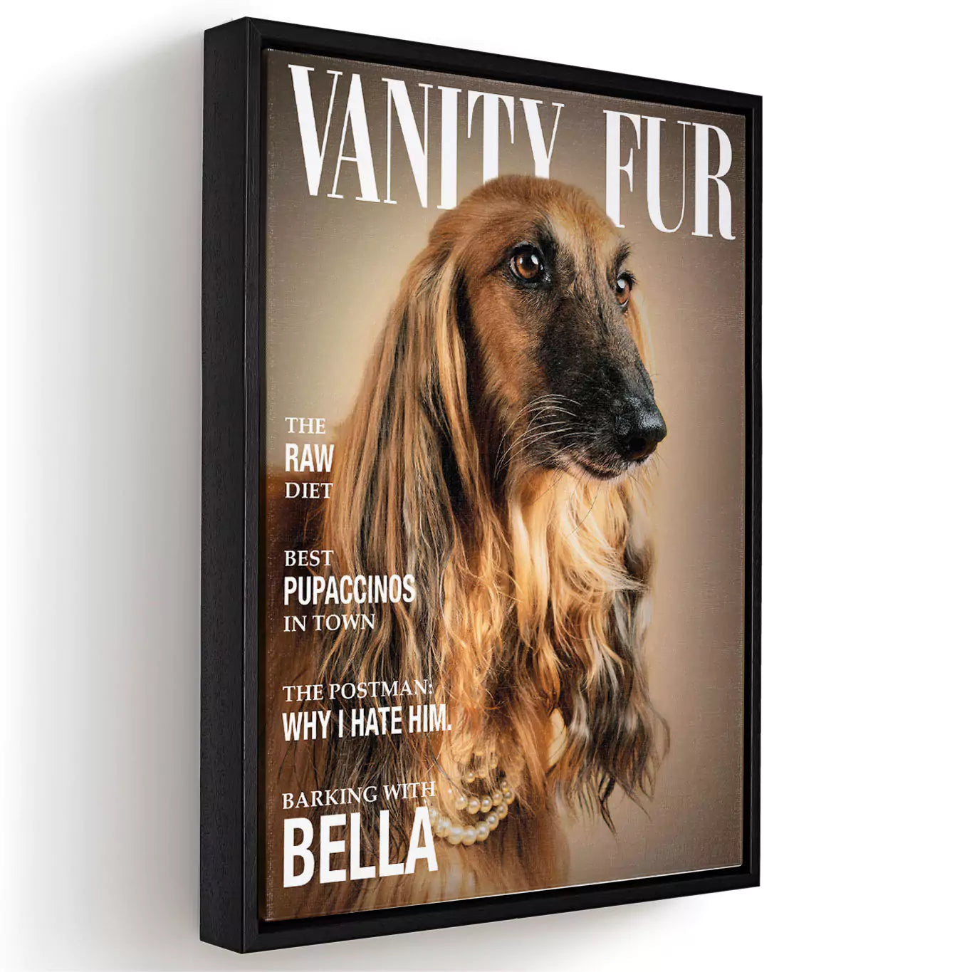 vanity fur dog magazine with a canvas frame