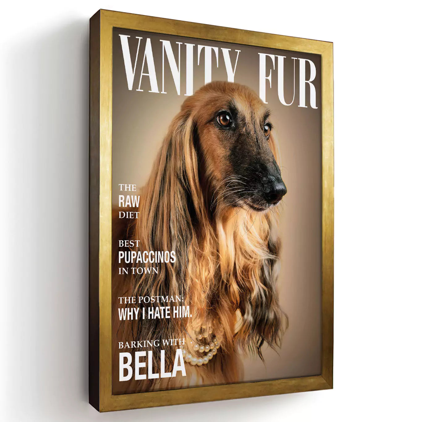 vanity fur dog magazine with a gold frame