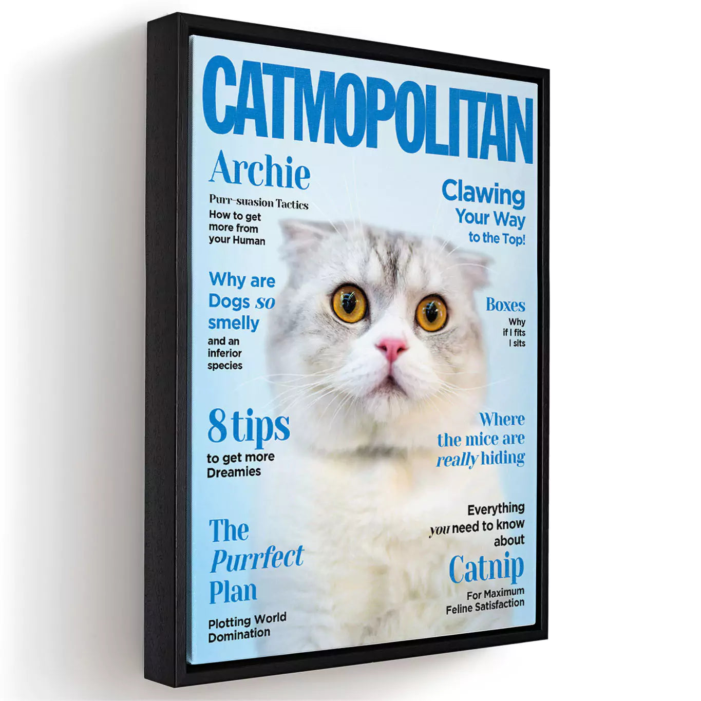 catmopolitan cat magazine in a canvas frame