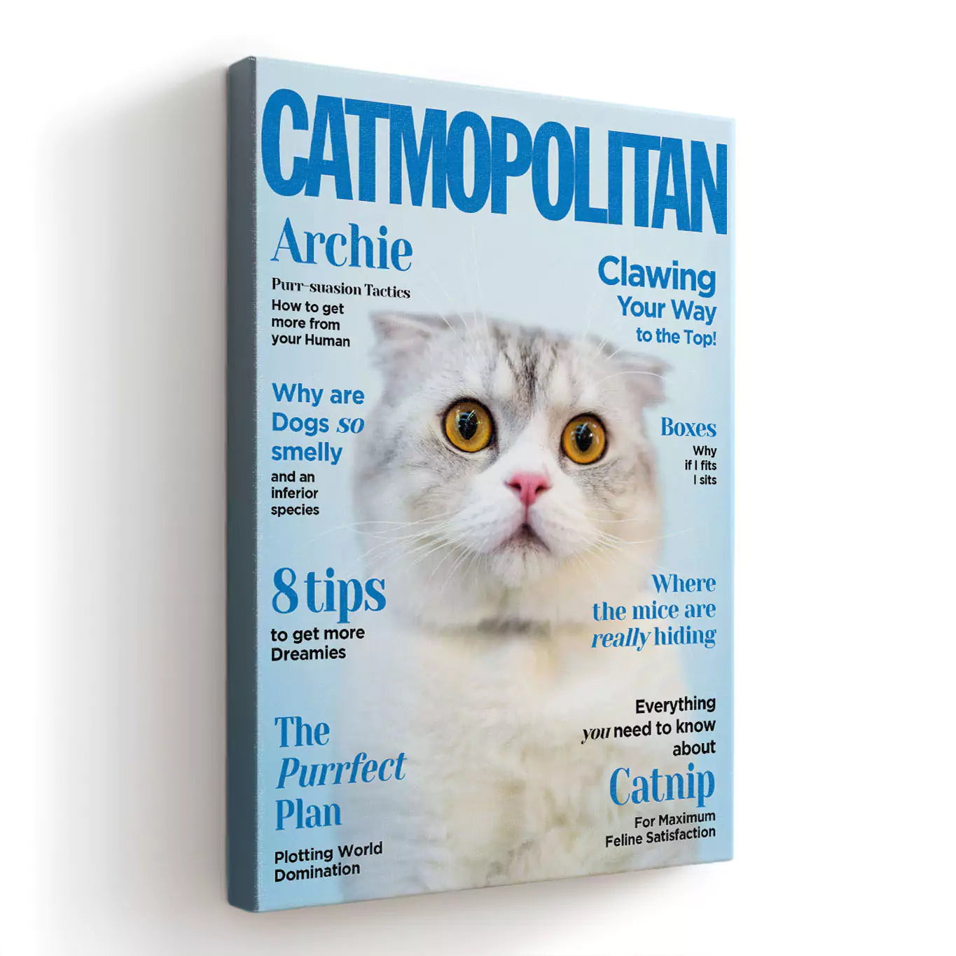 catmopolitan cat magazine canvas