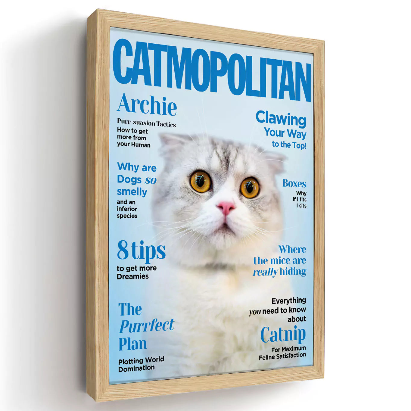 catmopolitan print, cat cosmopolitan, catmopolitan cover pet portrait