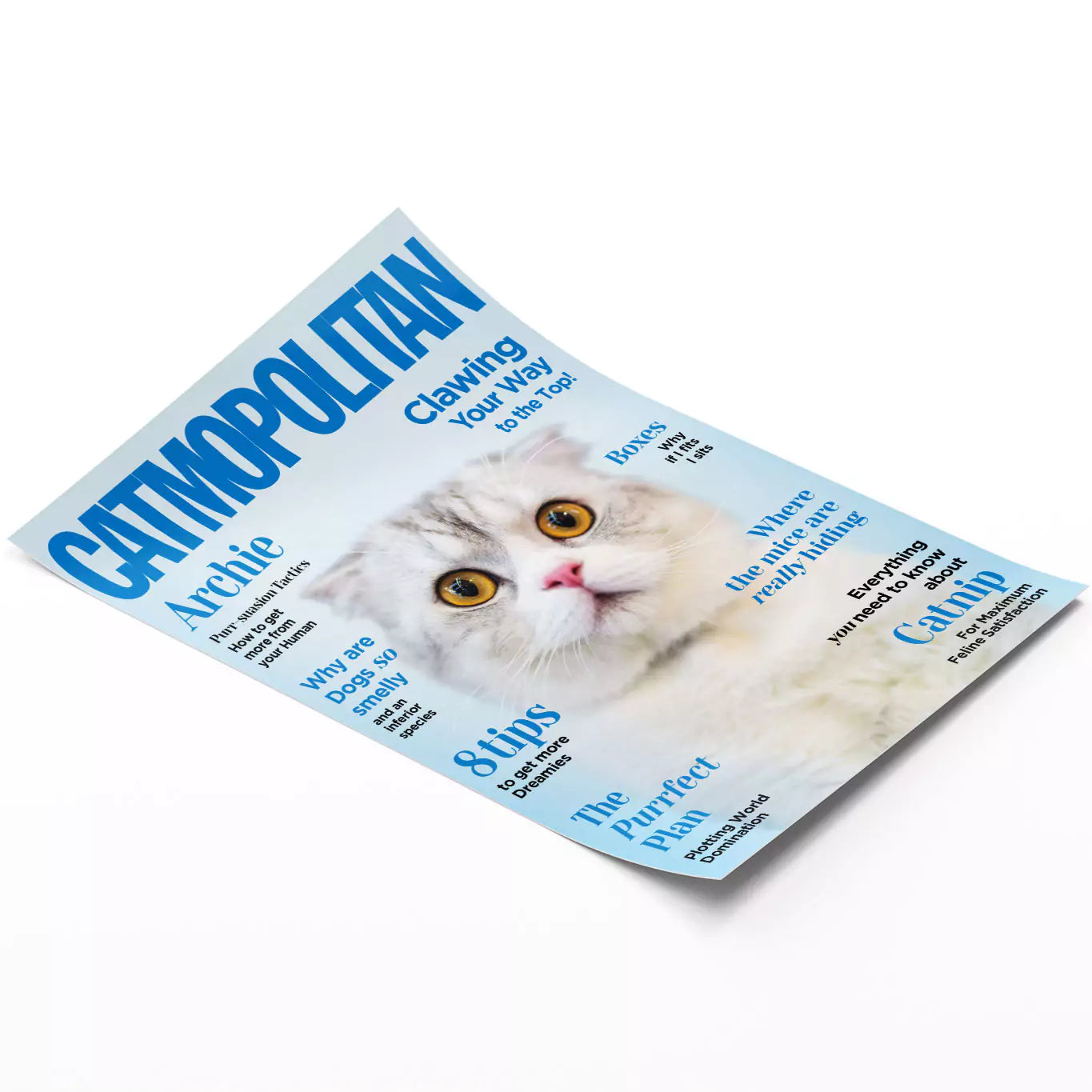 personalised catmopolitan print, cat cosmopolitan, catmopolitan cover pet portrait