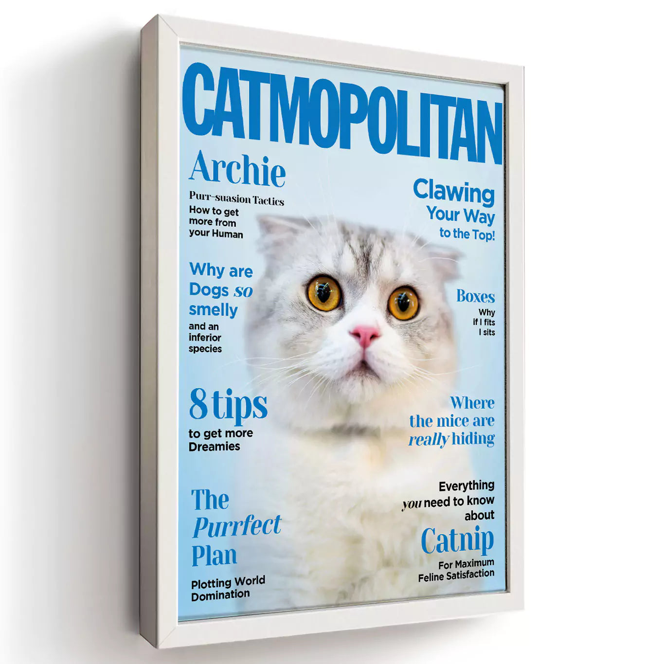 catmopolitan print, cat cosmopolitan, catmopolitan cover pet portrait