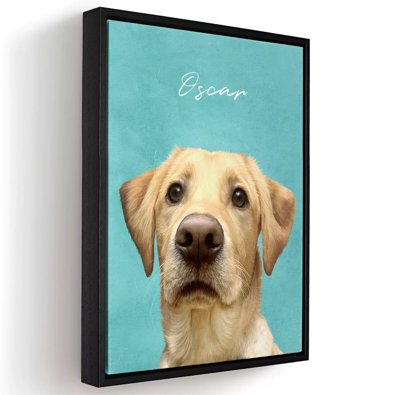 colourful modern pet portrait with a canvas frame