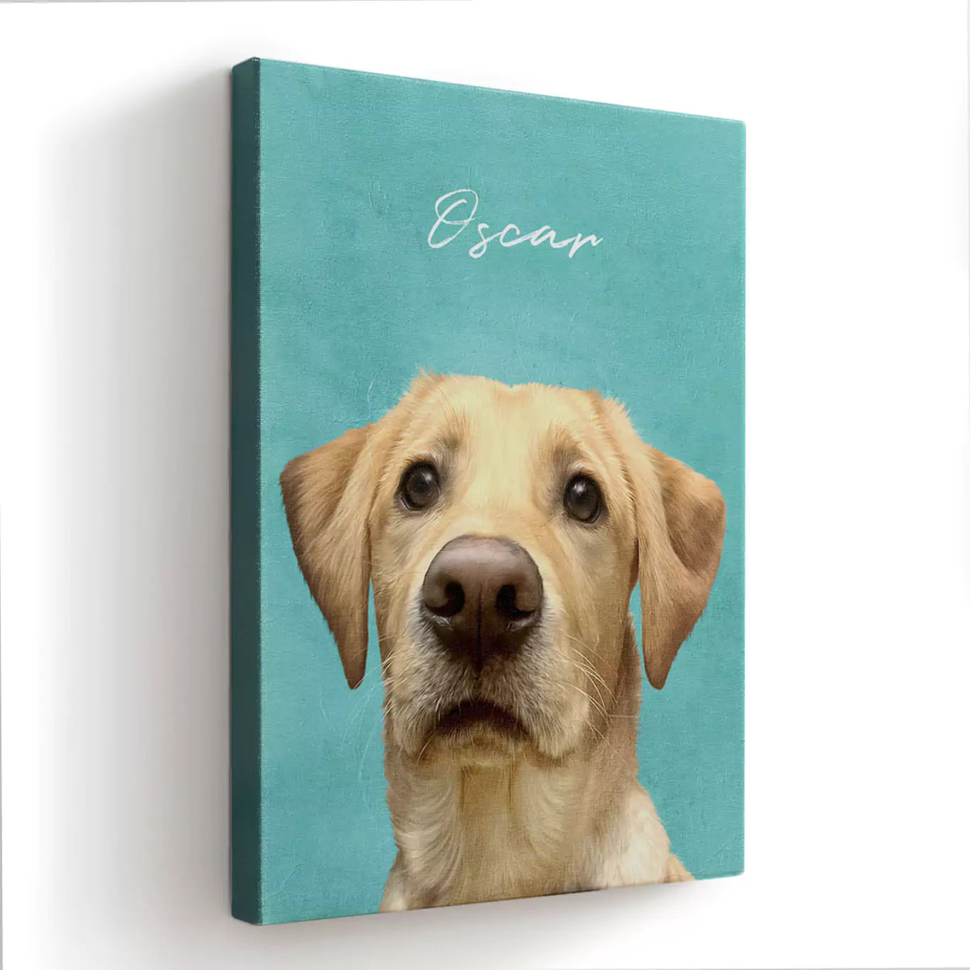 colourful modern pet portrait canvas