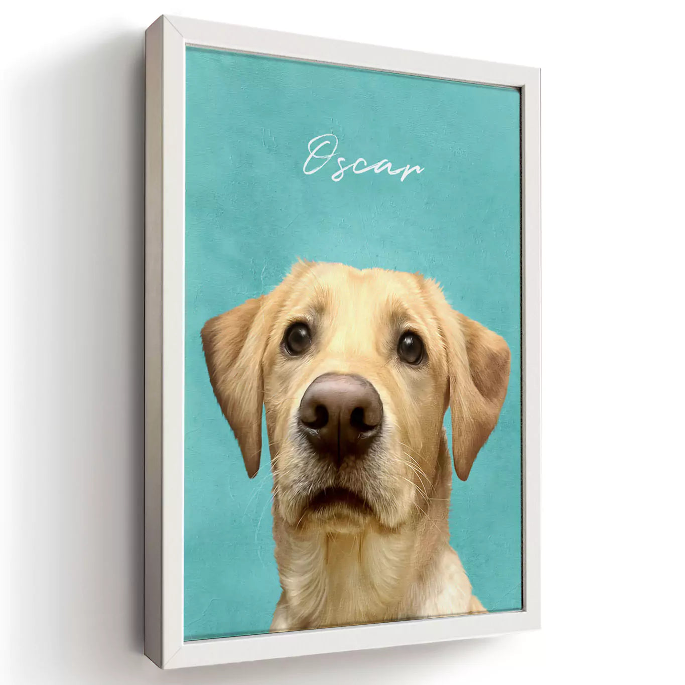 colourful modern pet portrait with a white frame