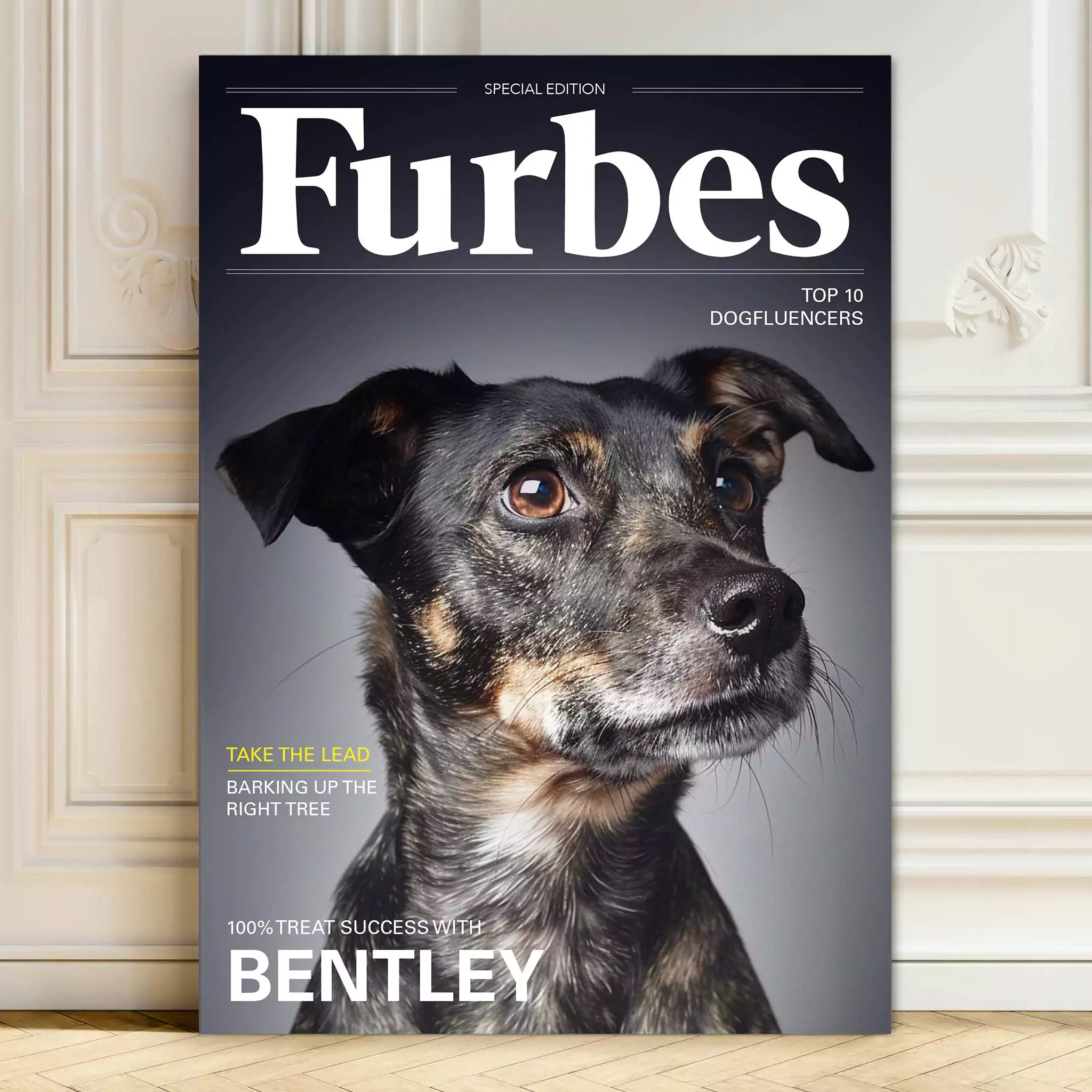 Furbes dog magazine pet portrait cover