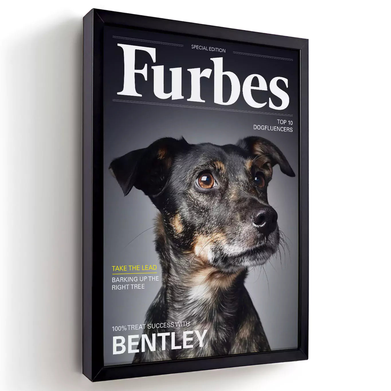 furbes dog magazine with a black frame