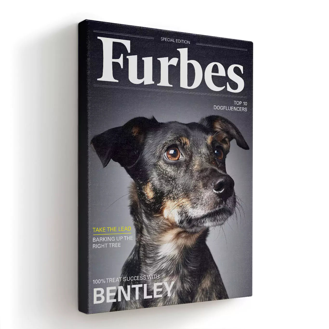 furbes dog magazine canvas