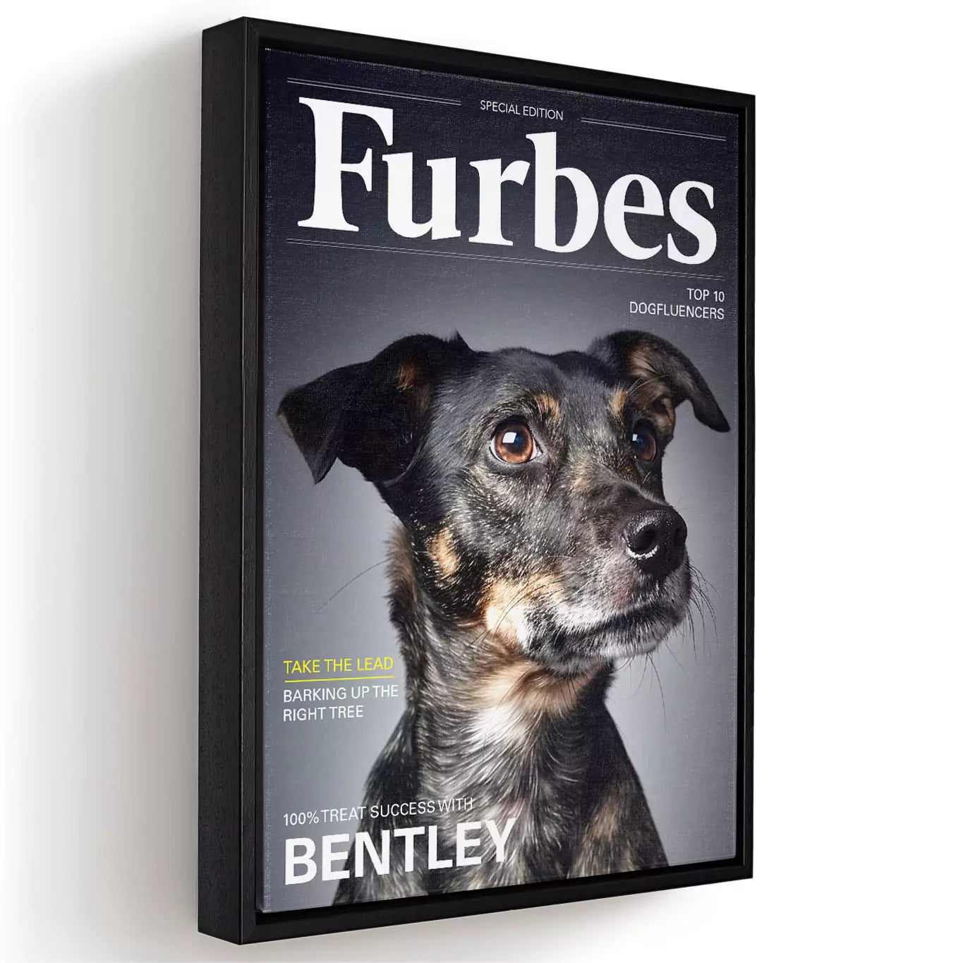 furbes dog magazine with a canvas frame