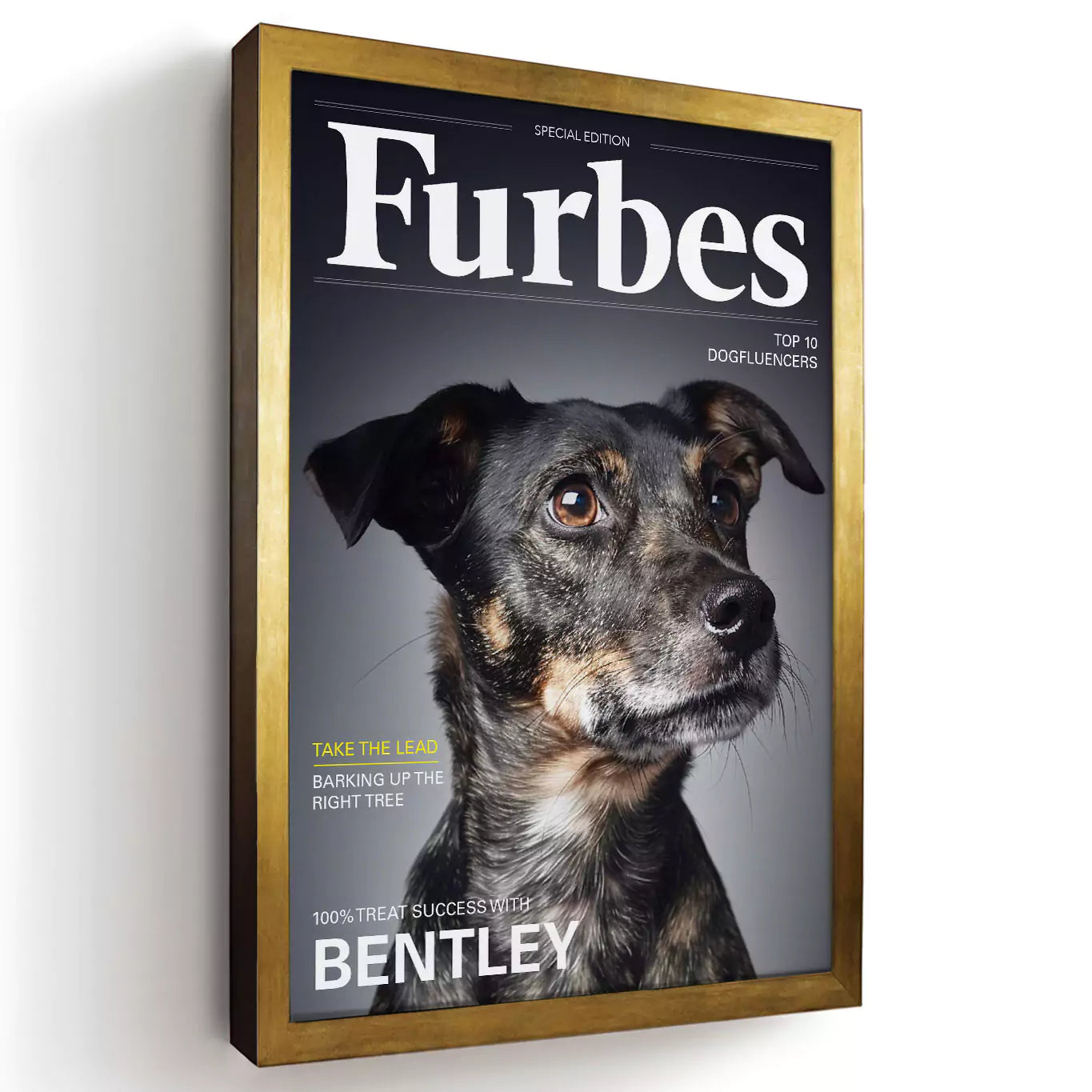 furbes dog magazine with a gold frame