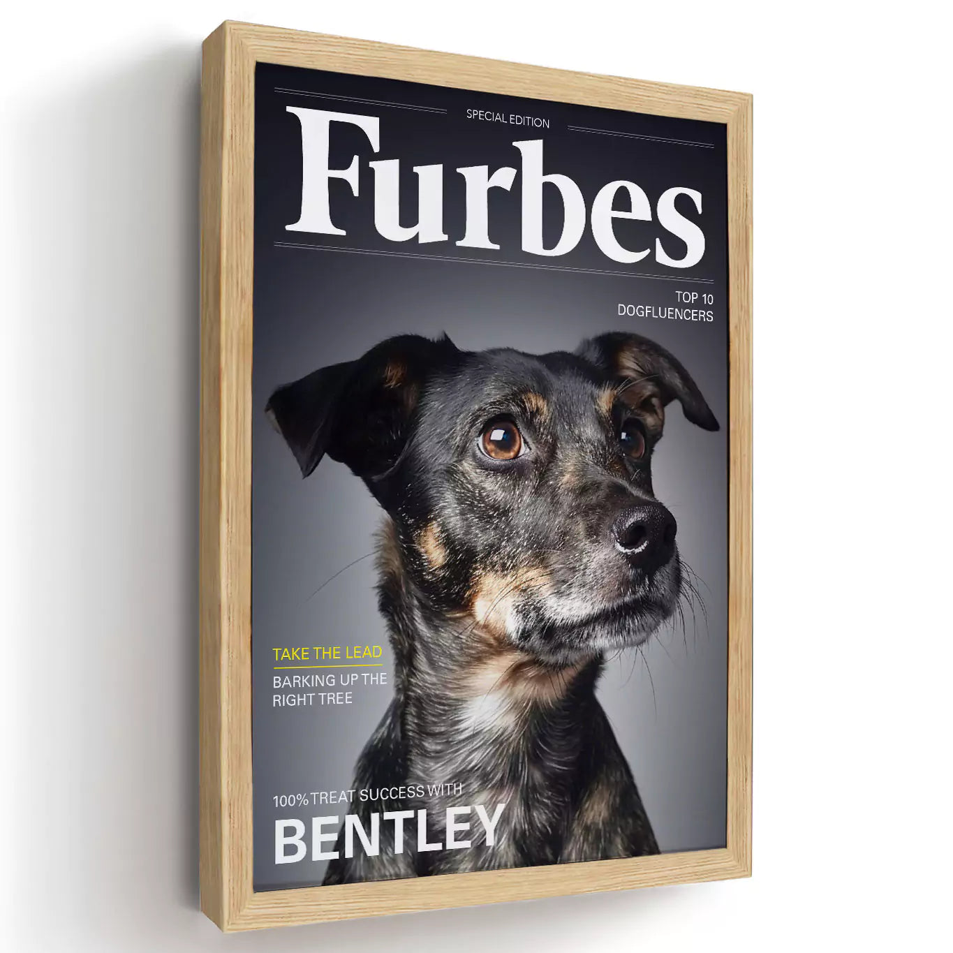 furbes dog magazine with a wood frame