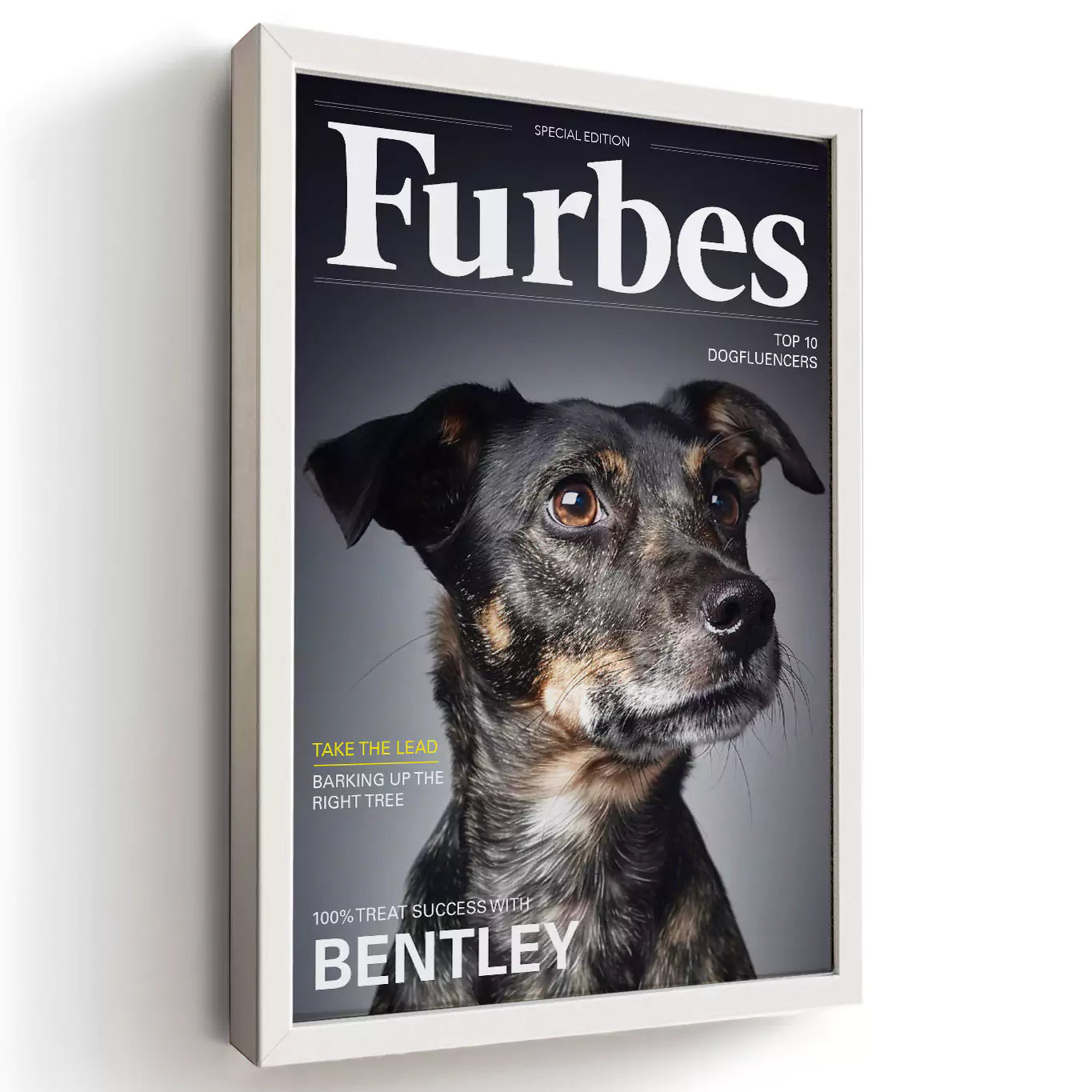 furbes dog magazine with a white frame