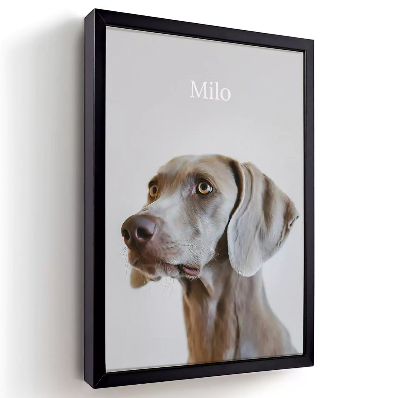 neutral dog pet portrait with a black frame