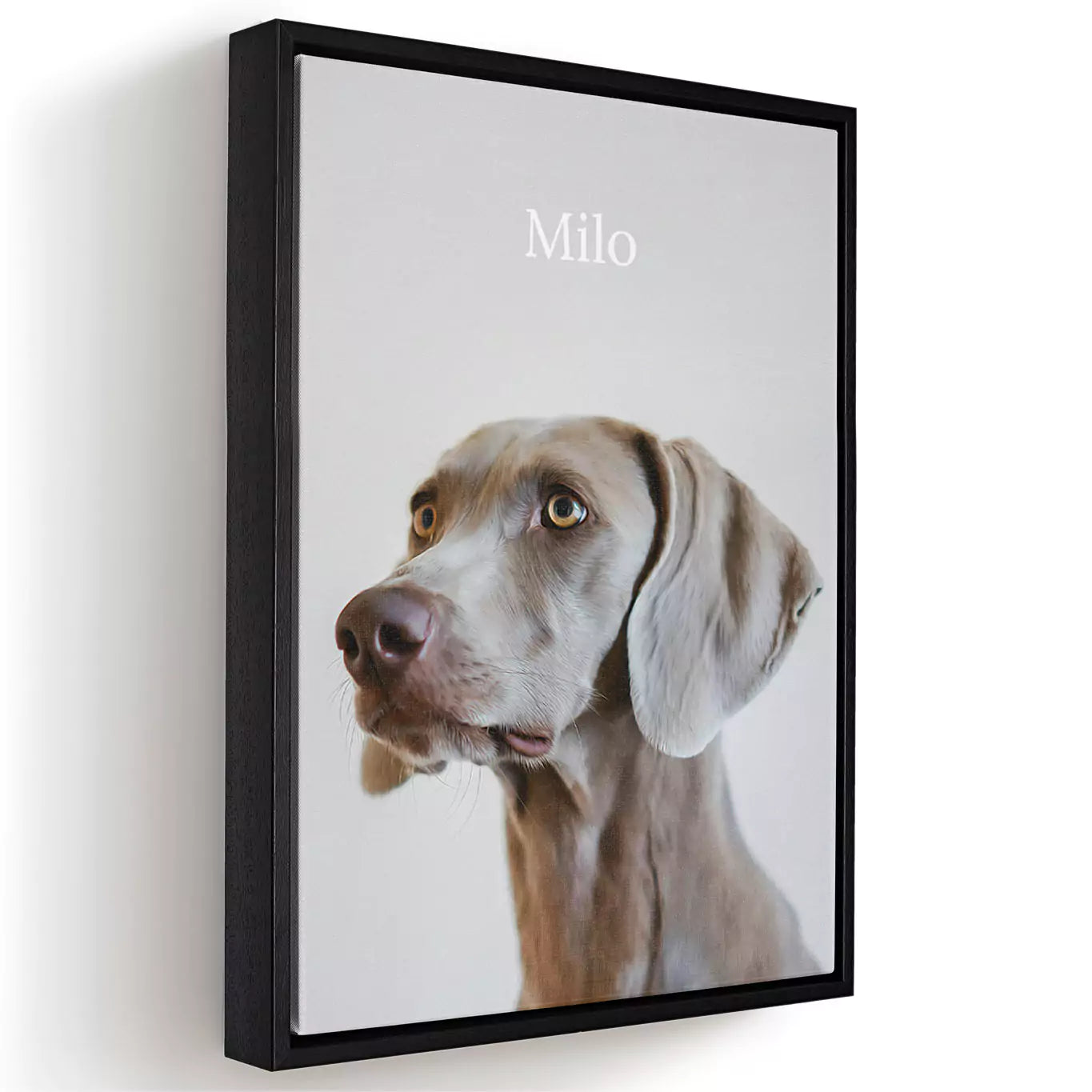 neutral dog pet portrait with a canvas frame