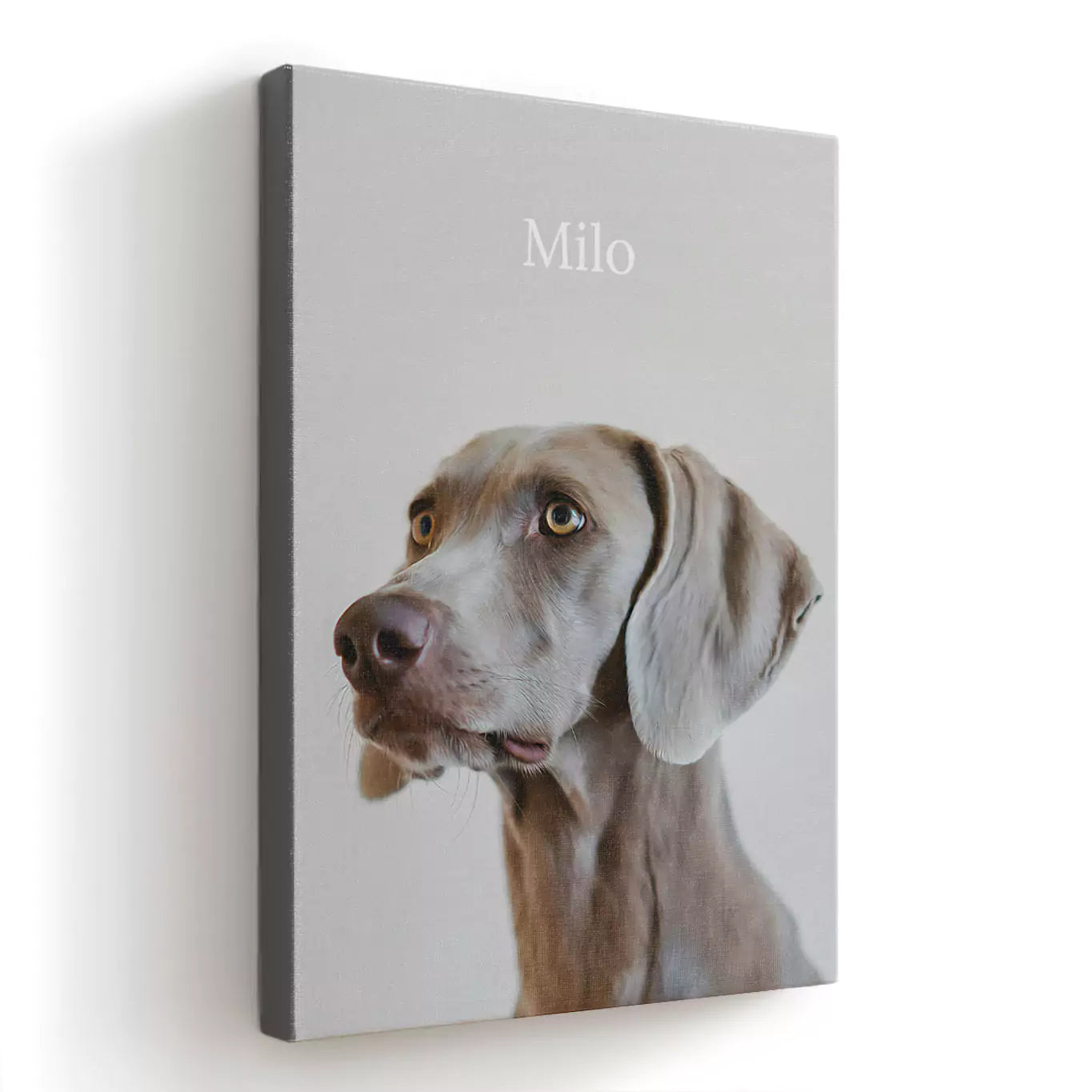 neutral dog pet portrait canvas