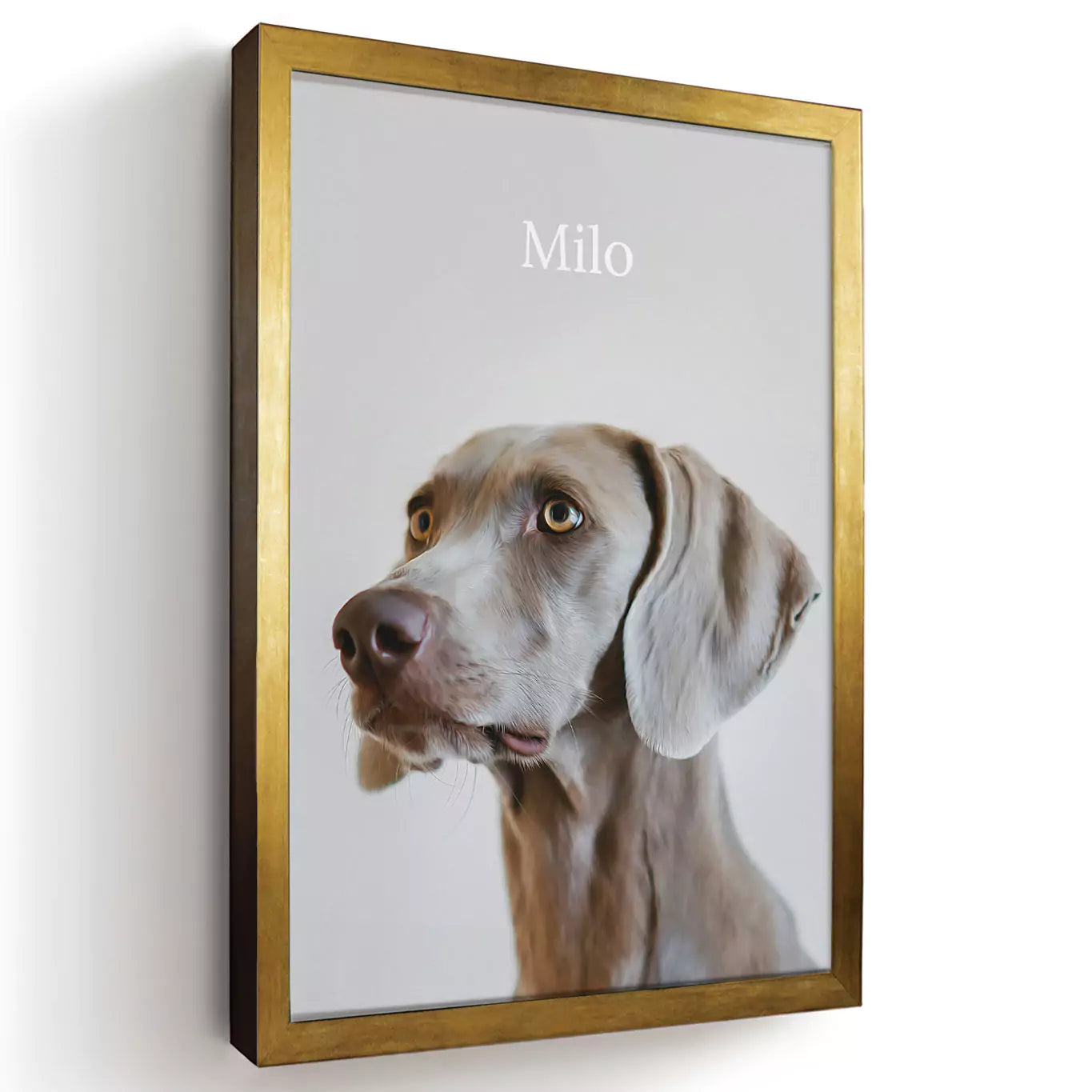 neutral dog pet portrait with a gold frame