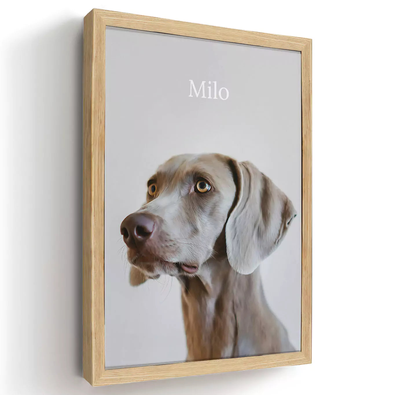 neutral dog pet portrait with a wood frame