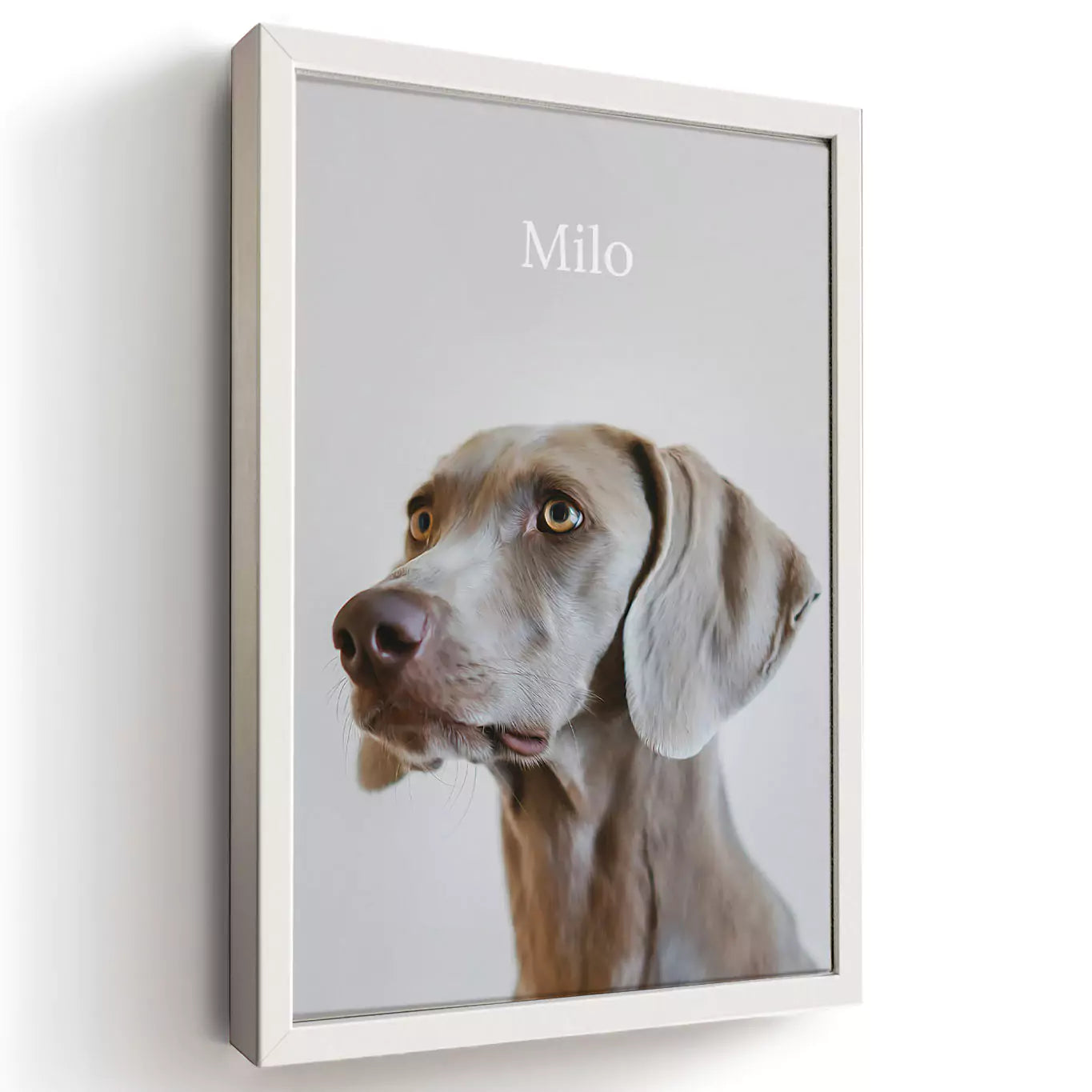 neutral dog pet portrait with a white frame