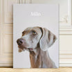 Neutral dog art, neutral decor dog print,modern pet portrait, modern dog portrait, minimalist dog portrait, modern pet picture, modern dog print