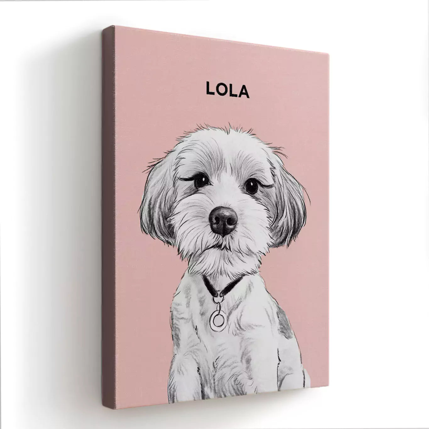 pet portrait illustration canvas