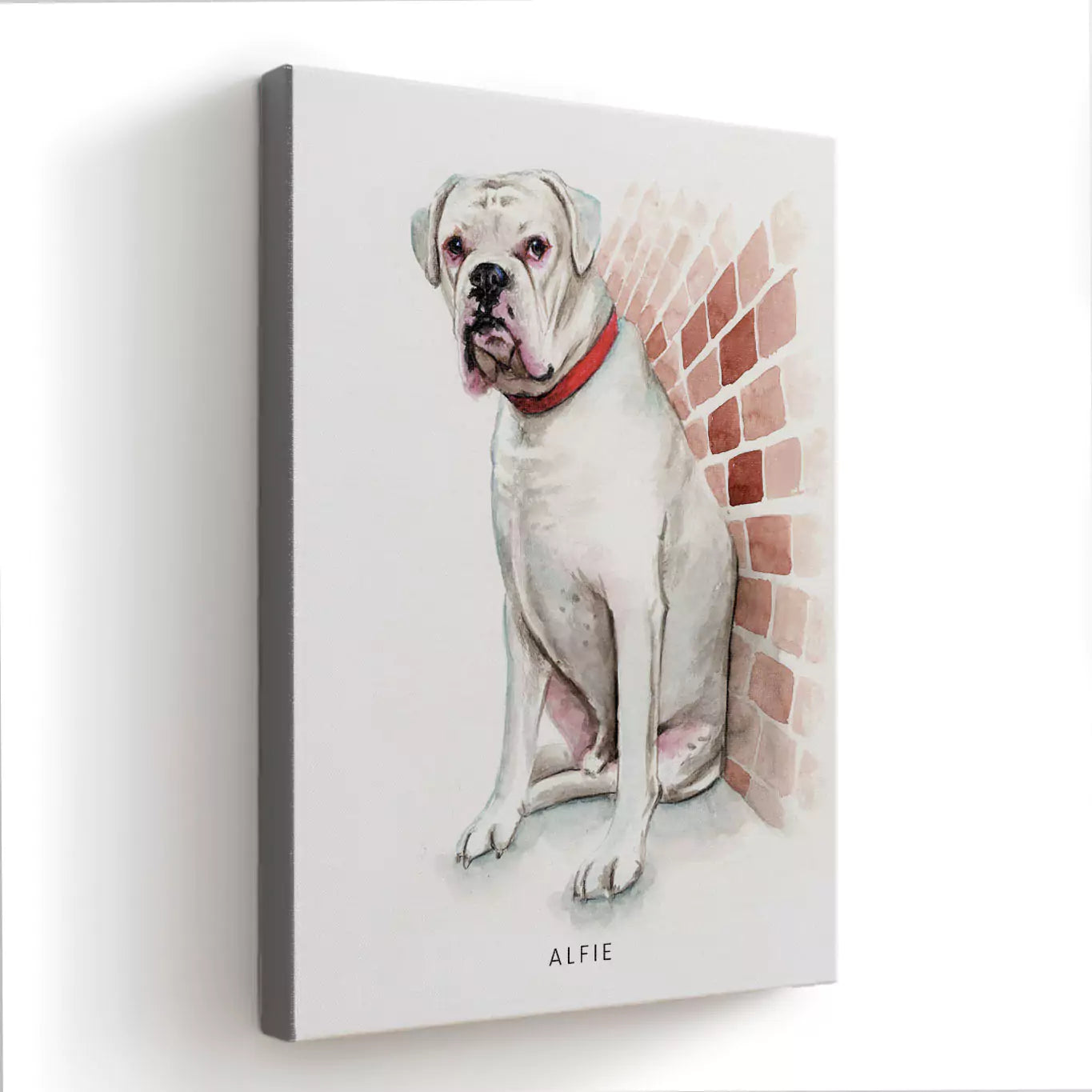 watercolour pet portrait canvas