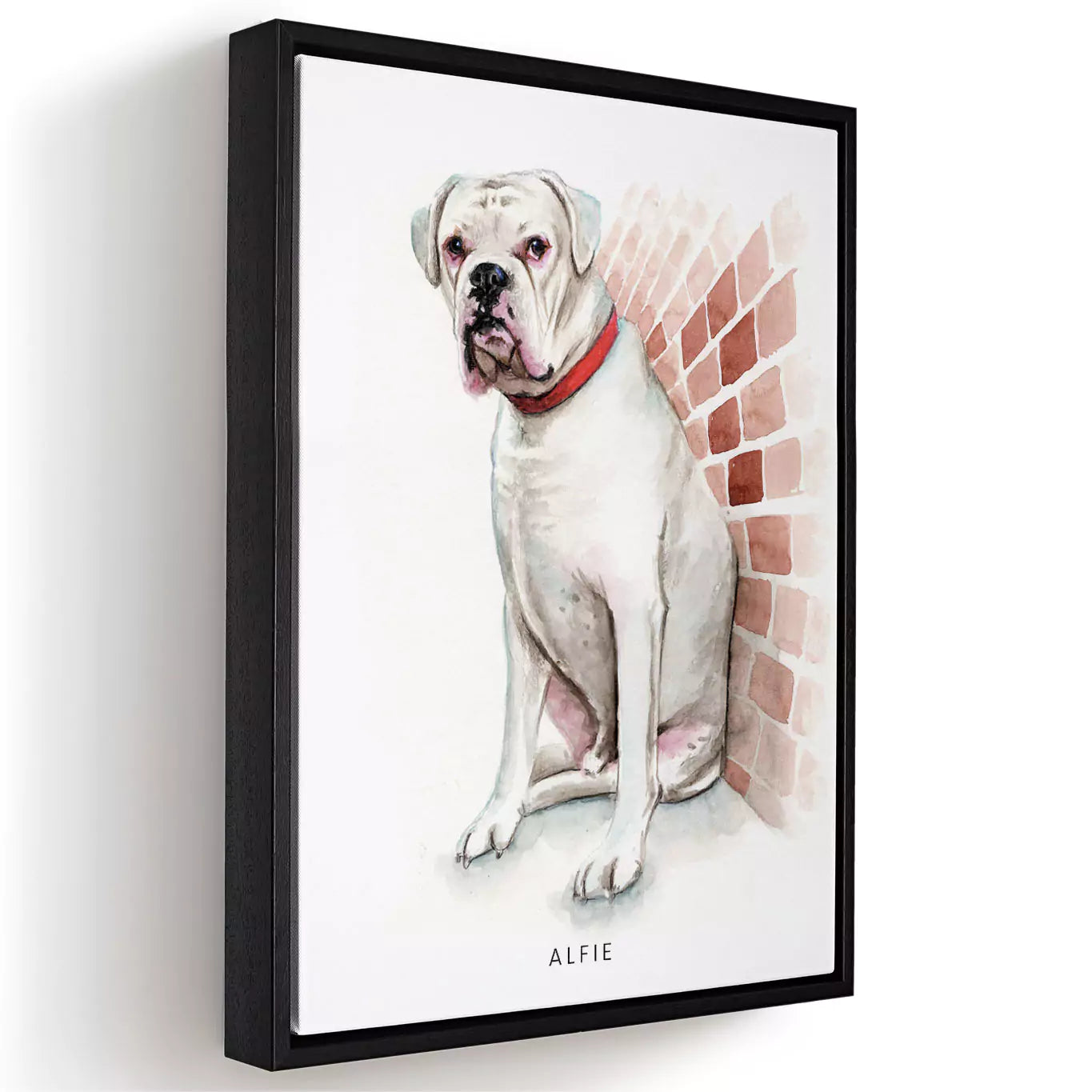 watercolour pet portrait in a white frame