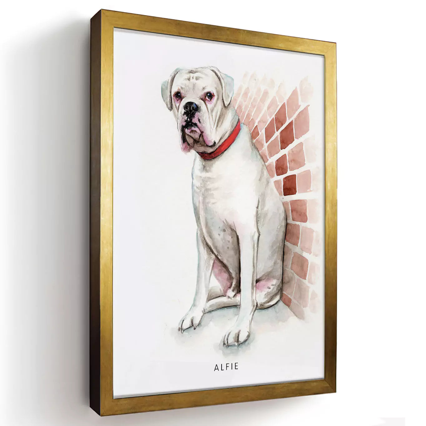 watercolour pet portrait in a gold frame