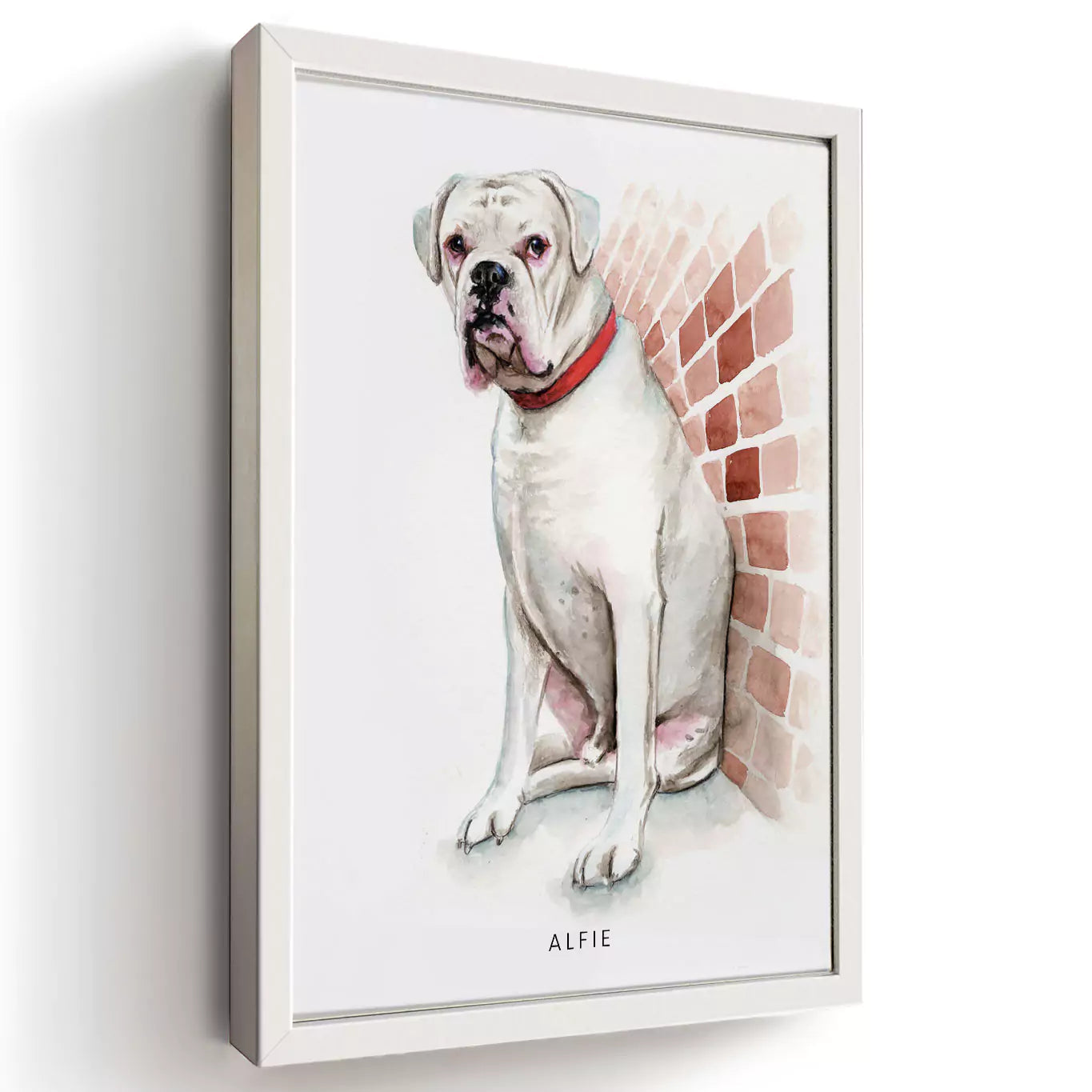 watercolour pet portrait in a white frame